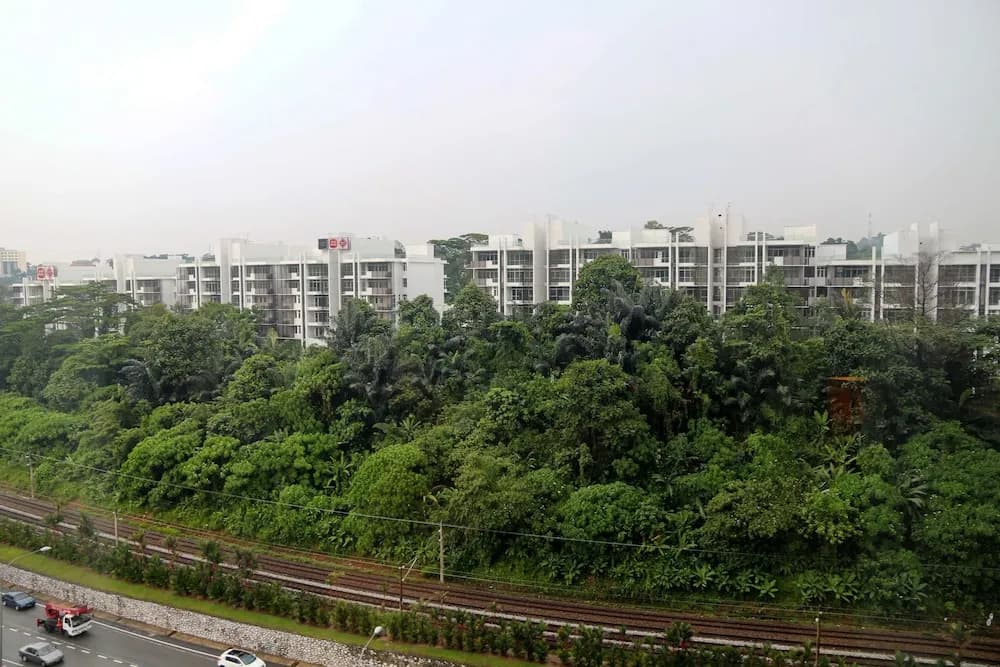 Panda Residences at Regalia - photo 22