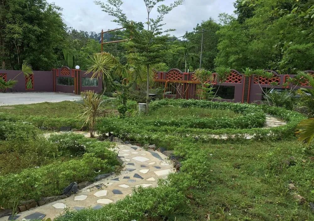 My Forest Hotel - photo 15