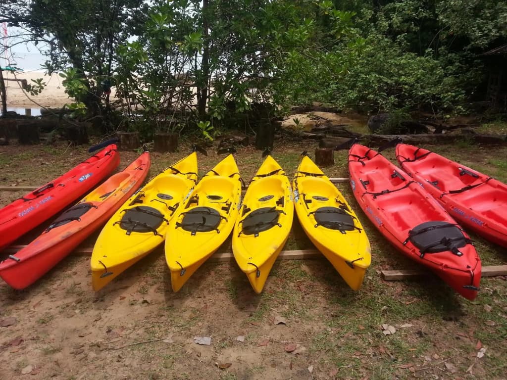 Permai Rainforest Resort - photo 13