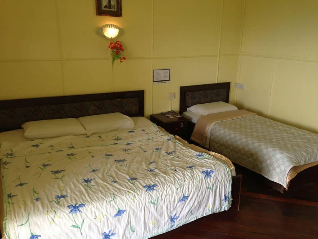 D'Villa Rina Ria Lodge - photo 2