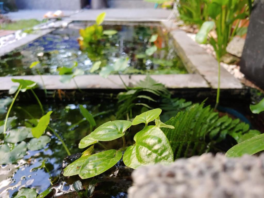 Tasek Homestay D Village Ipoh - photo 33