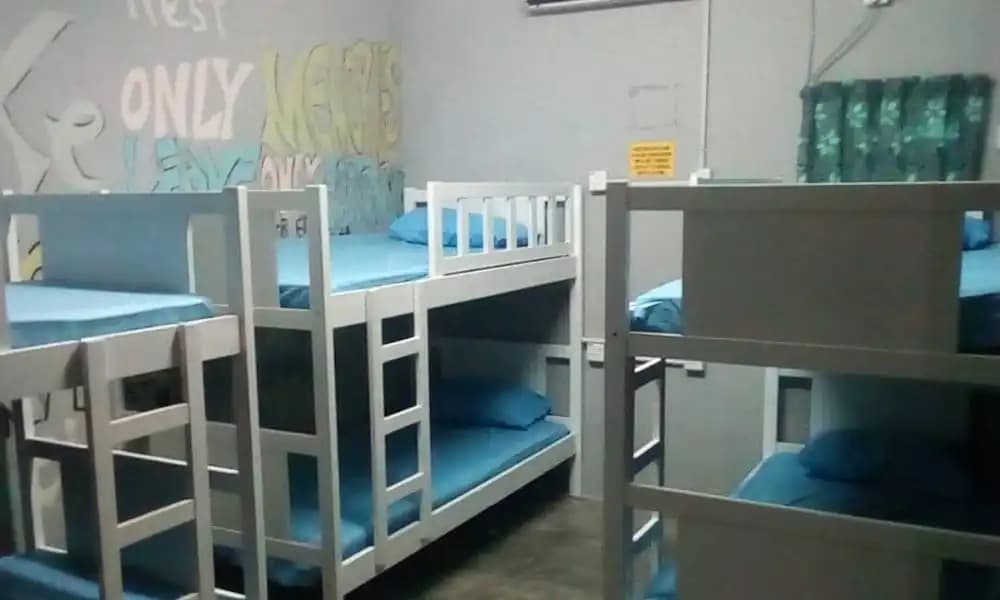 2Coconuts Hostel - photo 2
