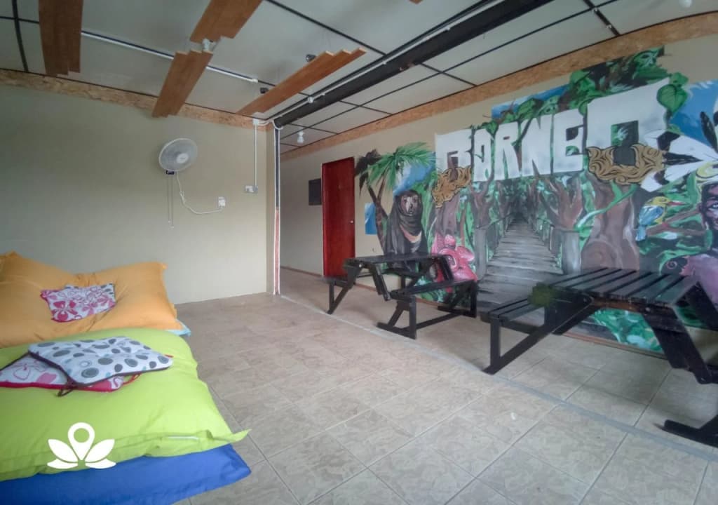 Le Nomade Hostel & Cafe - photo 7