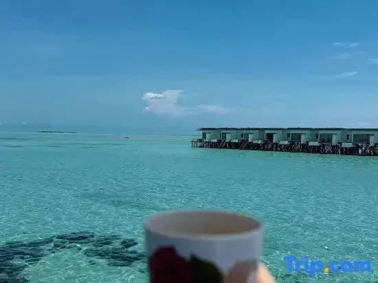 Sagittarius Resort - photo 9