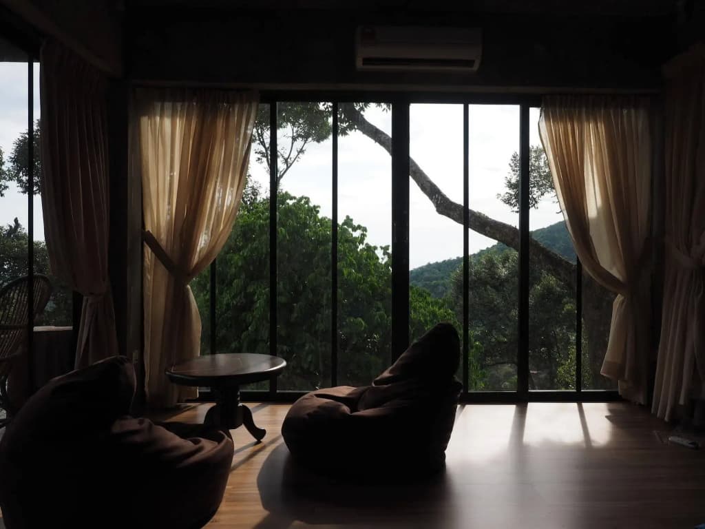 Bao Sheng Durian Farm - photo 11