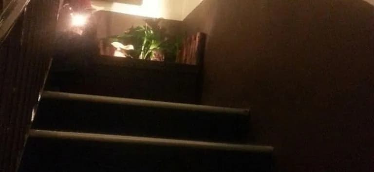 Camellia Budget Inn - photo 12