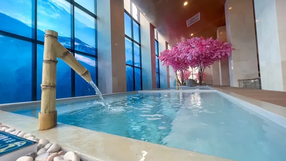 The Yanné, Onsen Hotel - photo 16