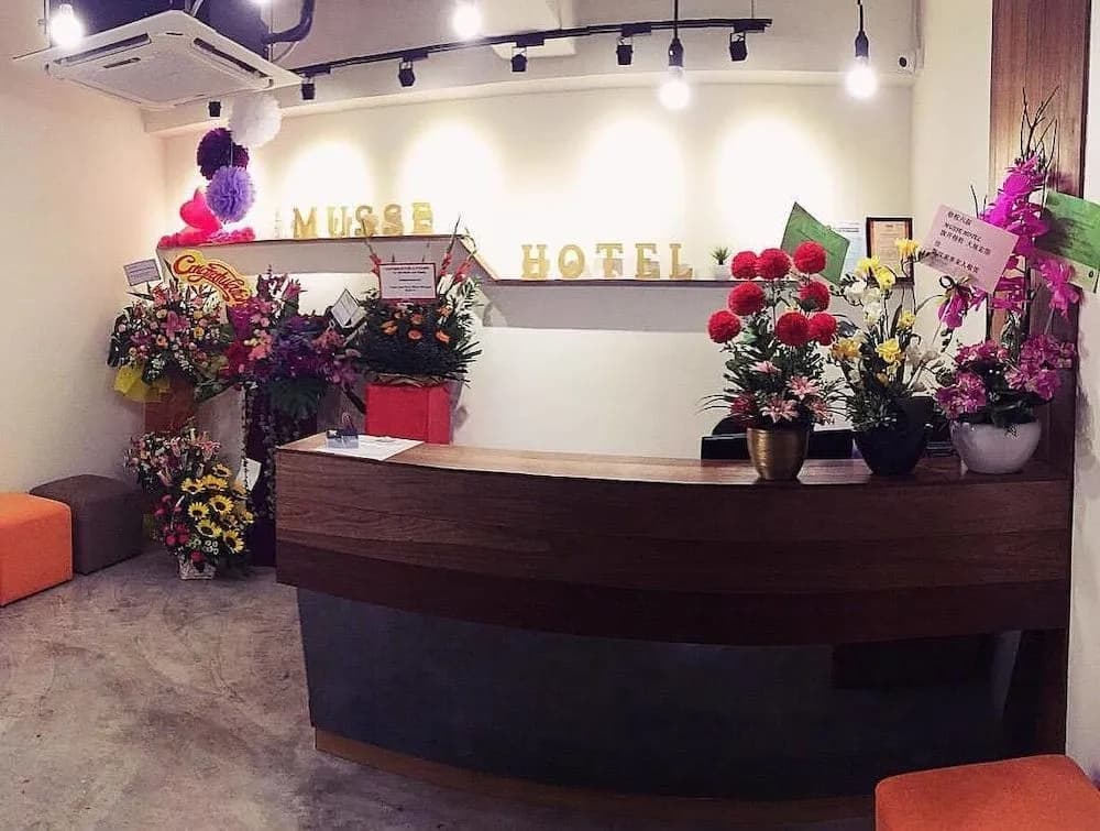 Musse Hotel - photo 2