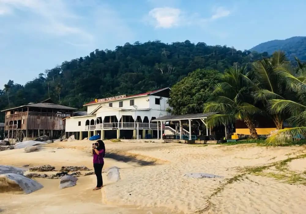Damai Tioman Resort - photo 8