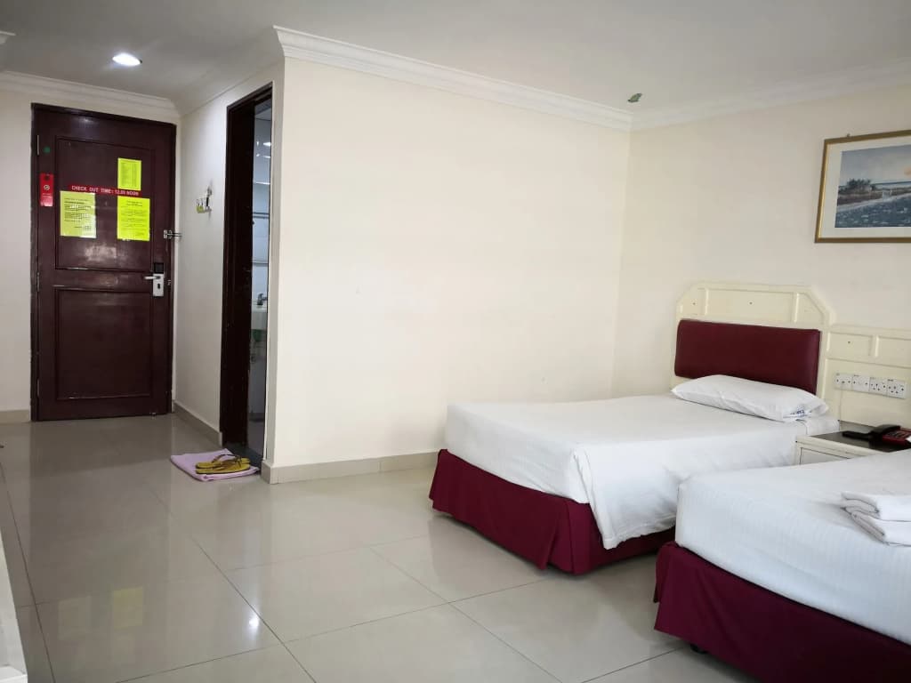 Carlton Star Hotel - photo 4