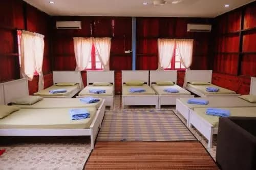 Homestay Kampong Pak Ali - photo 3