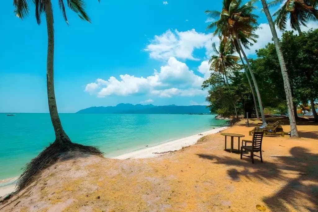 D'Coconut Villas - photo 14