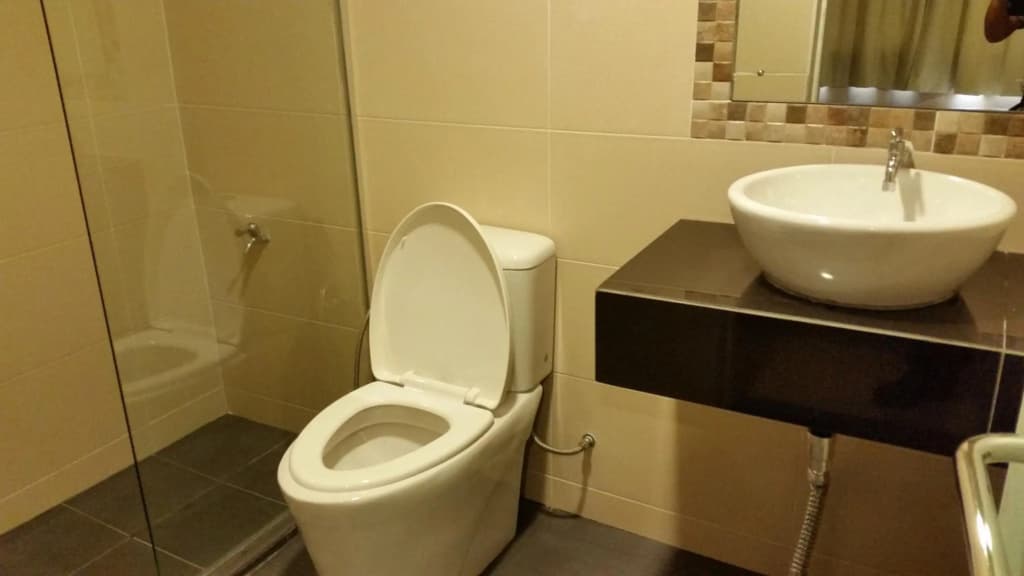 Sri Iskandar Hotel - photo 20