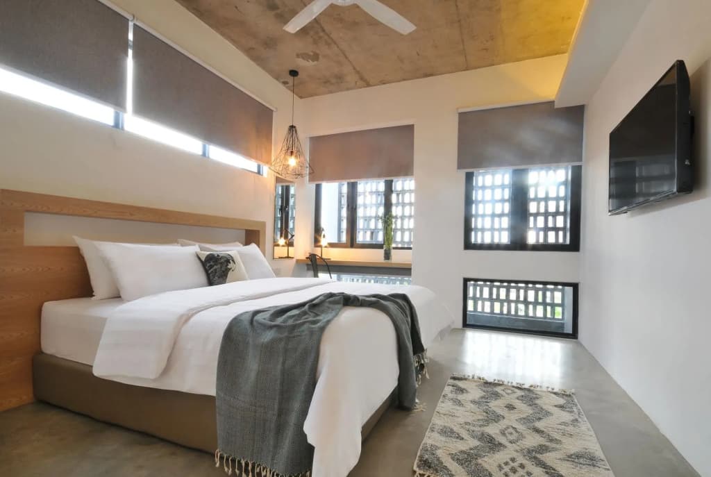 The Nest House - photo 4