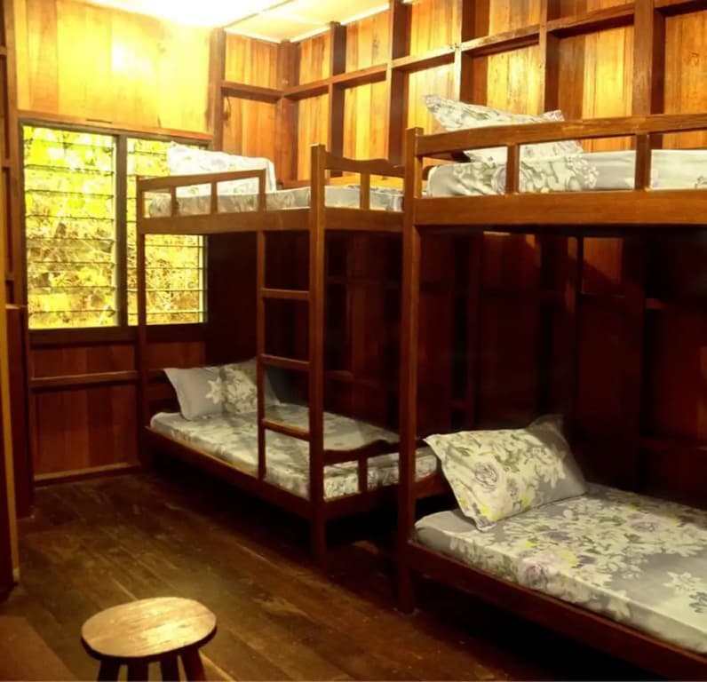 Kinabatangan Wildlife Lodge - Hostel - photo 3