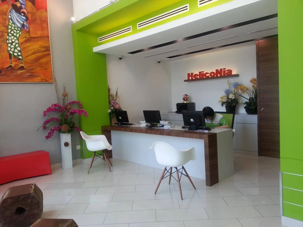 Yan Hotel - photo 16