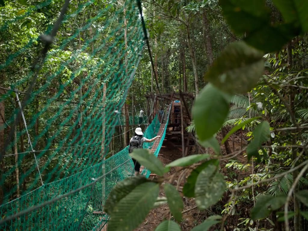 Borneo Tropical Rainforest Resort - photo 13