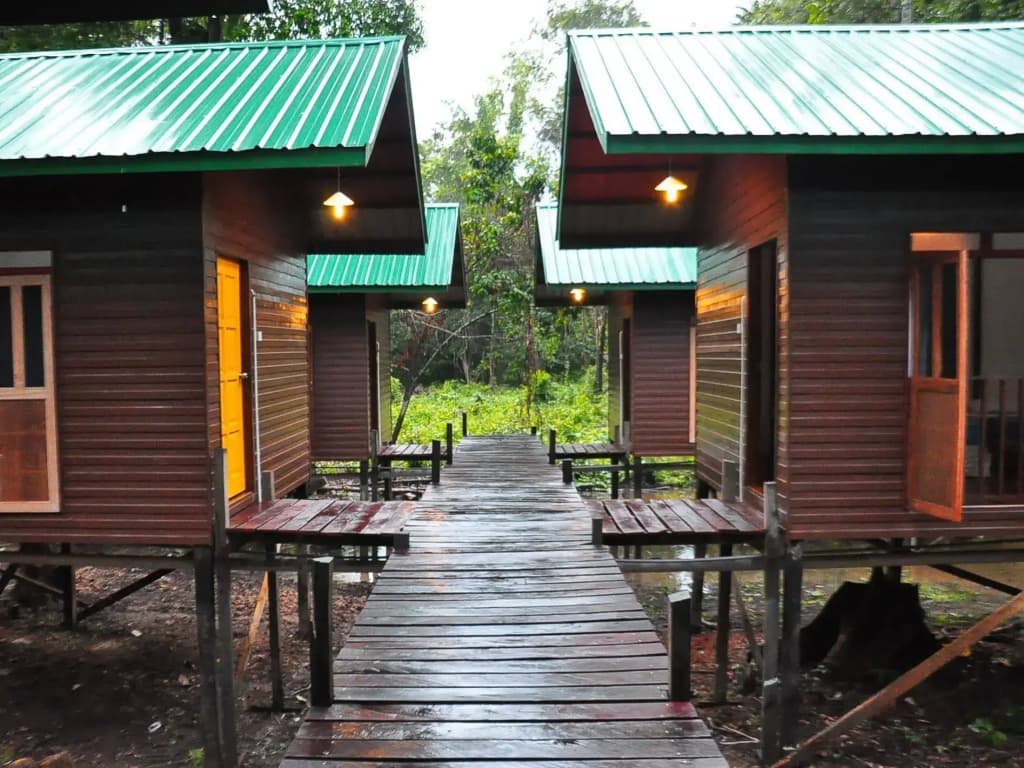 Kinabatangan Sunshine Lodge - photo 11