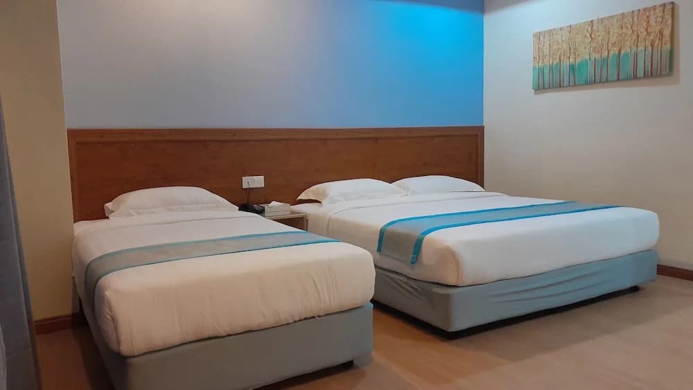 Td Capital Hotel - photo 4
