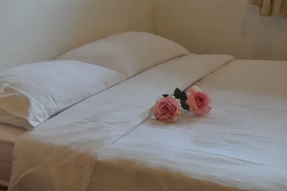 My Guesthouse 109 - Adults Only - photo 3