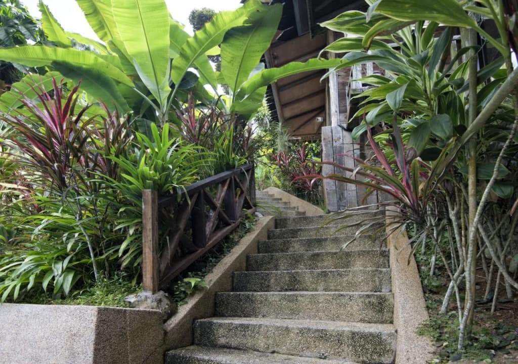 Fig Tree Hill Resort - photo 8