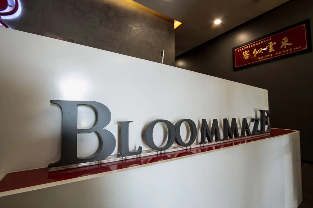 Bloommaze Boutique Hotel - photo 1