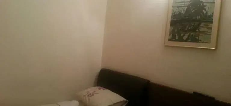 Camellia Budget Inn - photo 13