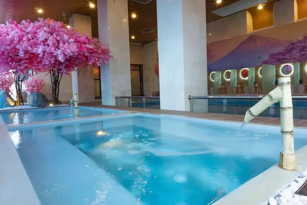 The Yanné, Onsen Hotel - photo 15
