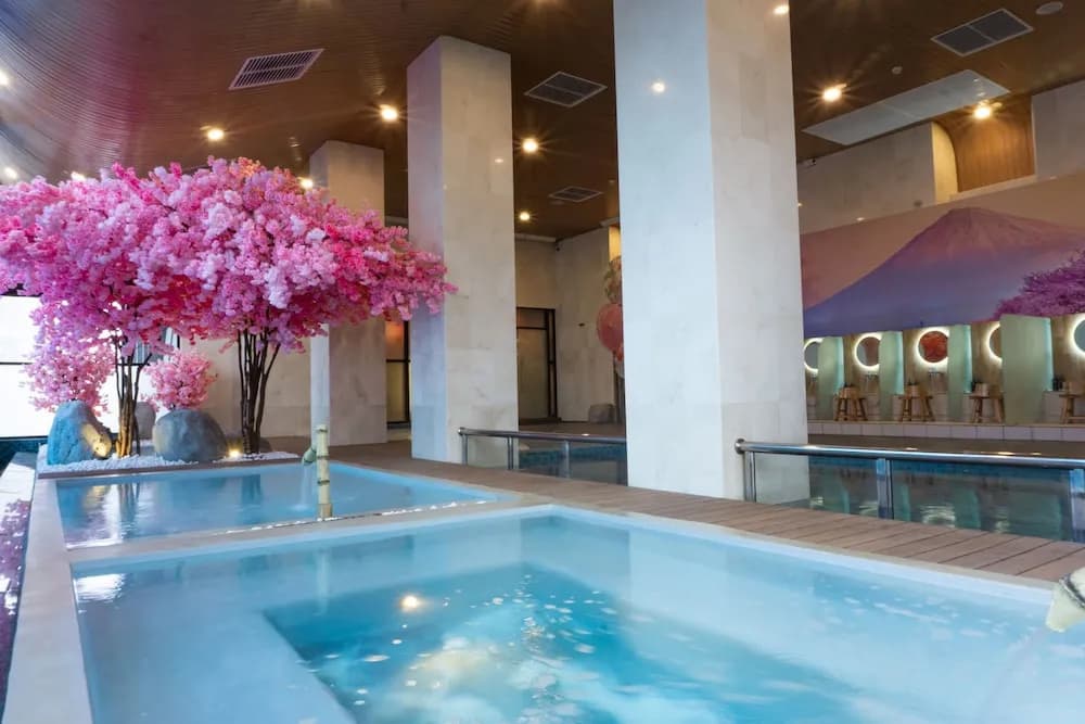 The Yanné, Onsen Hotel - photo 14