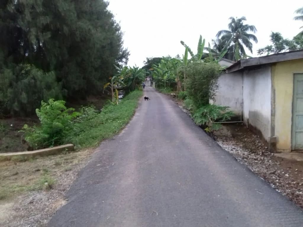 Anggerik Villa Guest House - photo 14
