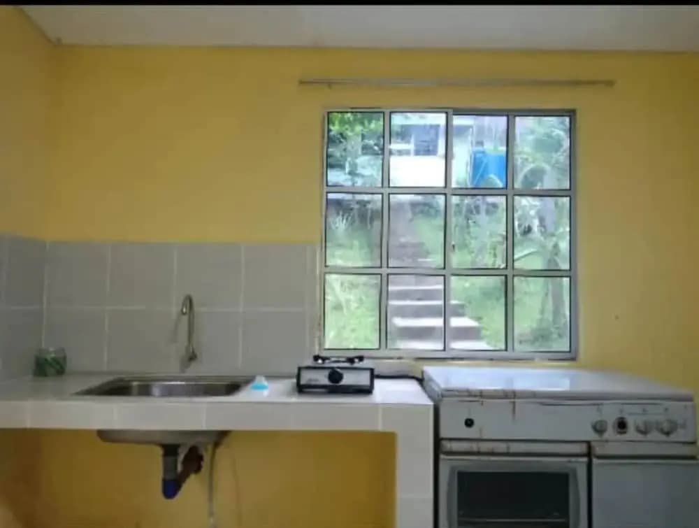 Arvad Cottage - photo 13