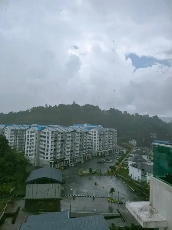 Cameron Homestay - photo 8
