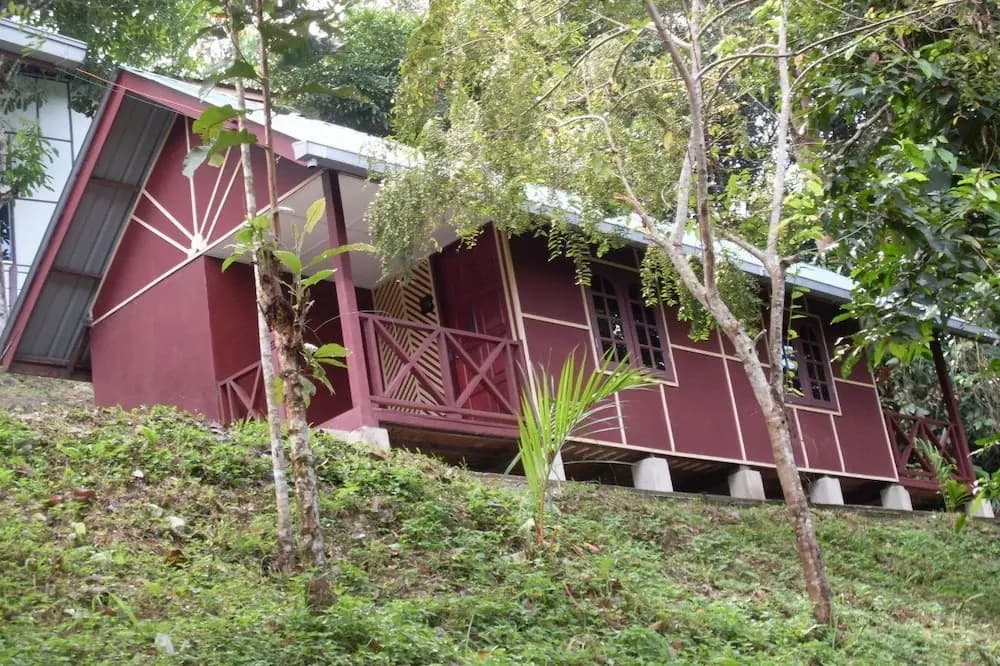 Holiday View Inn Taman Negara - photo 3