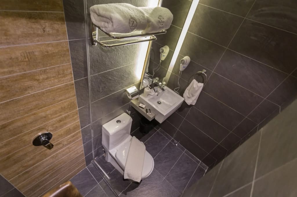 Z Hotel - photo 9