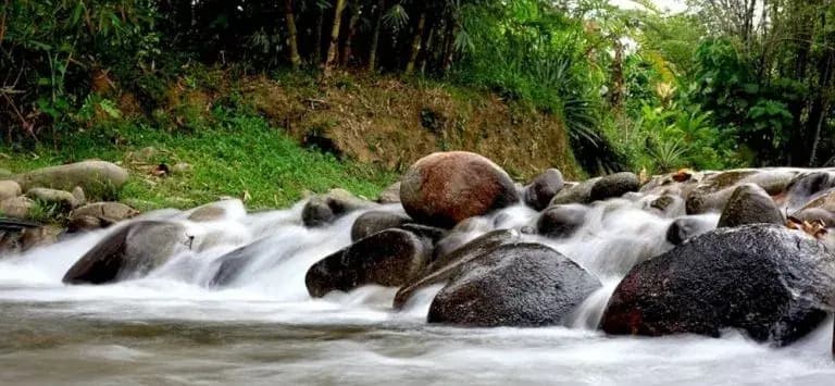 Suria Hill Country House, Janda Baik - photo 9