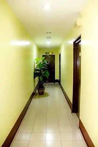 Hotel Surya - photo 10