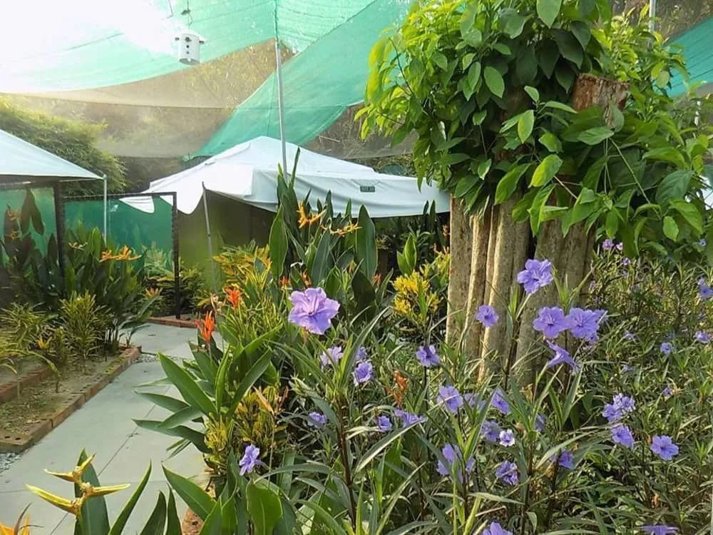 T Garden - photo 12