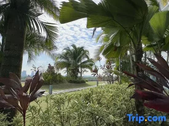 Macrolink Medini Starry Stay 3BR 5pax Legoland - photo 21