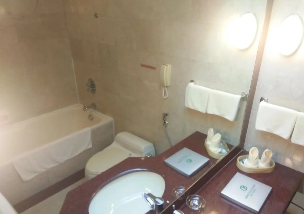 Grand Palace Hotel - photo 9