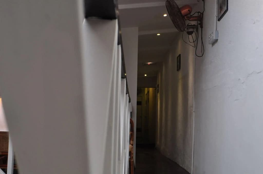 Monkey Motel & Café - photo 14