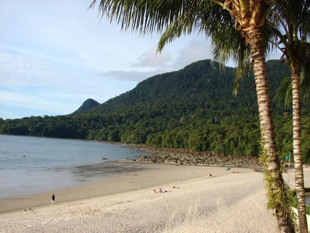 Nanga Damai Homestay - photo 9
