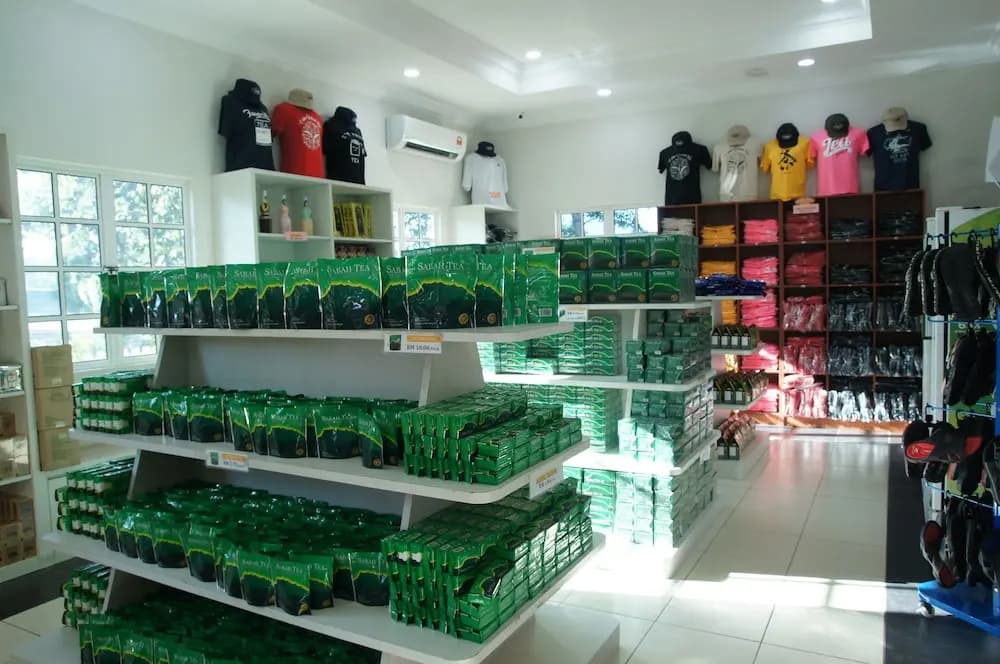 Sabah Tea Resort - photo 15