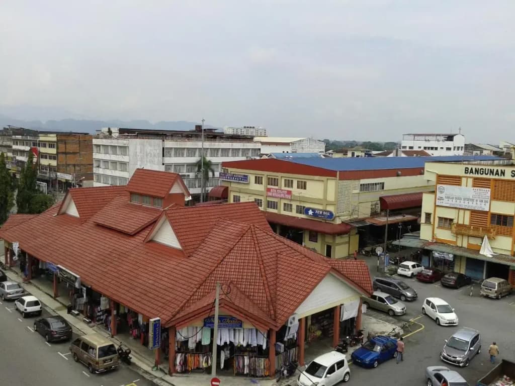 Guesthouse Hotel Malaya - photo 11