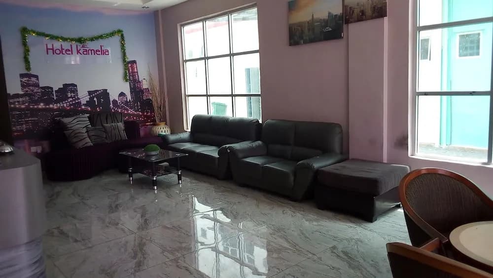 Hotel Kamelia - photo 10