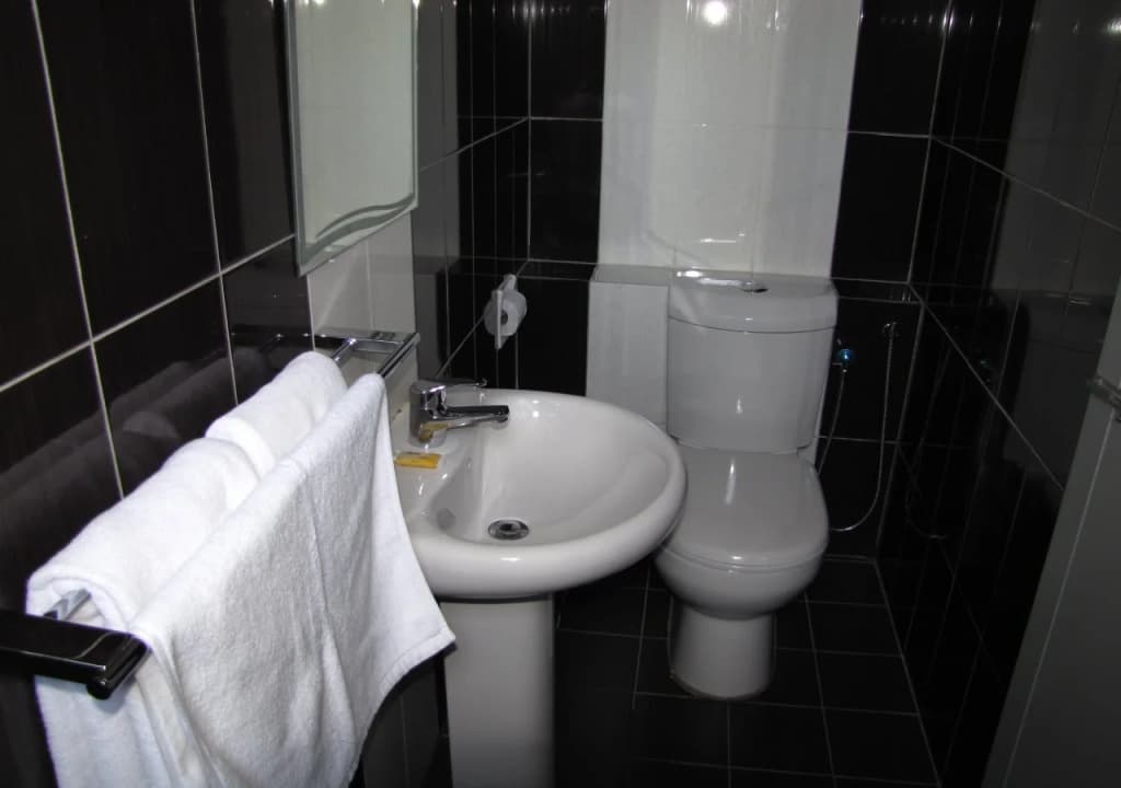 Park Hotel - photo 8