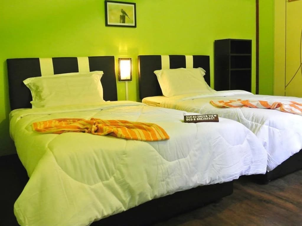 Sukau Greenview Bed & Breakfast - photo 4
