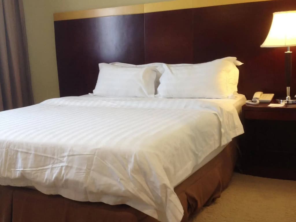 Gaya Centre Hotel - photo 6