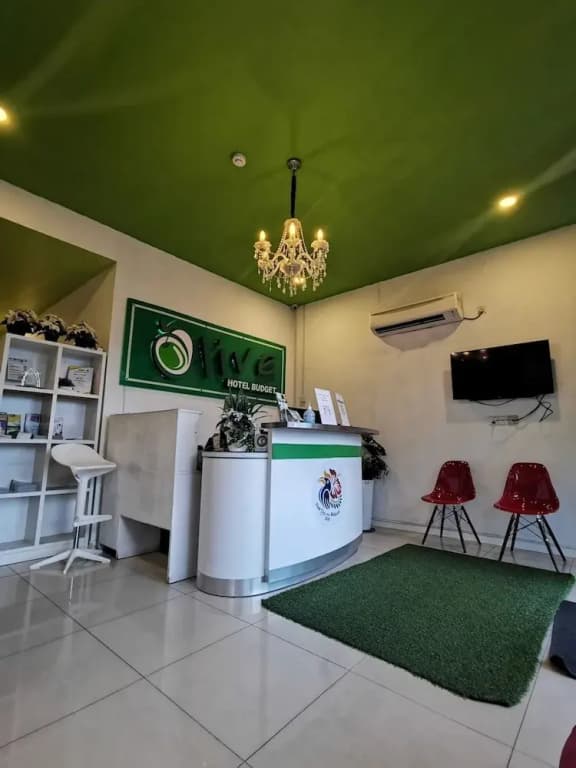 Olive Hotel - photo 21