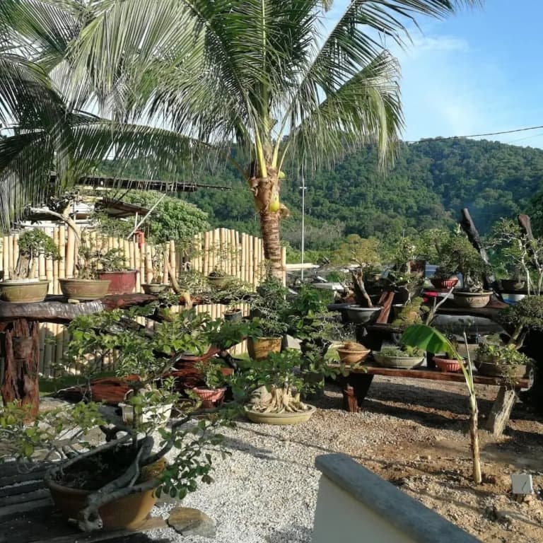 Bamboo Cottage Langkawi - photo 11