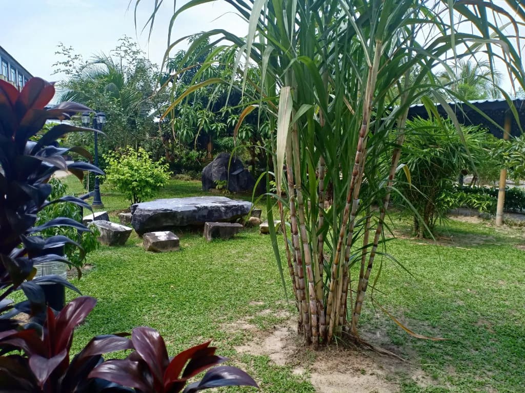 De Baron Resort - photo 20